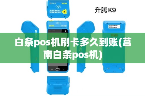 白条pos机刷卡多久到账(莒南白条pos机)