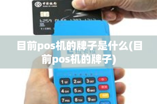 目前pos机的牌子是什么(目前pos机的牌子)
