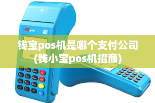 钱宝pos机是哪个支付公司(钱小宝pos机招商)