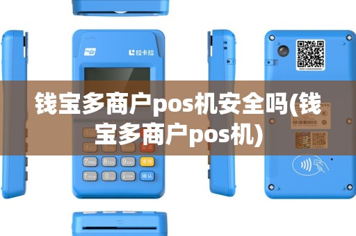钱宝多商户pos机安全吗(钱宝多商户pos机)