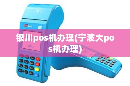 银川pos机办理(宁波大pos机办理)