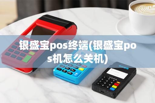 银盛宝pos终端(银盛宝pos机怎么关机)