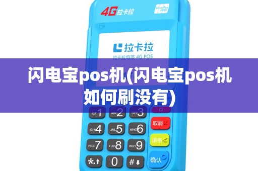 闪电宝pos机(闪电宝pos机如何刷没有)