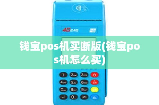 钱宝pos机买断版(钱宝pos机怎么买)