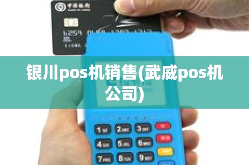 银川pos机销售(武威pos机公司)