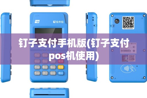 钉子支付手机版(钉子支付pos机使用)