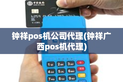 钟祥pos机公司代理(钟祥广西pos机代理)
