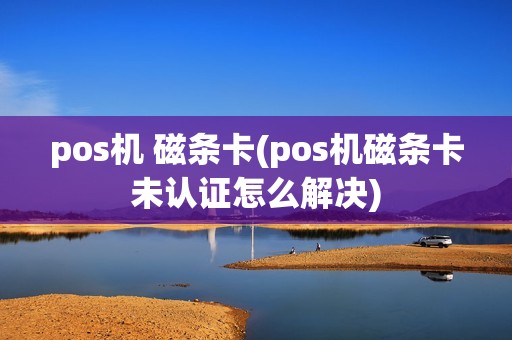 pos机 磁条卡(pos机磁条卡未认证怎么解决)