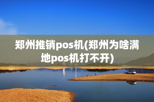 郑州推销pos机(郑州为啥满地pos机打不开)