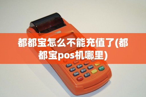 都都宝怎么不能充值了(都都宝pos机哪里)