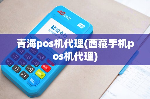 青海pos机代理(西藏手机pos机代理)