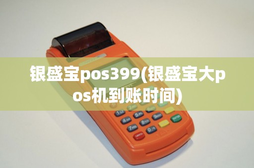 银盛宝pos399(银盛宝大pos机到账时间)