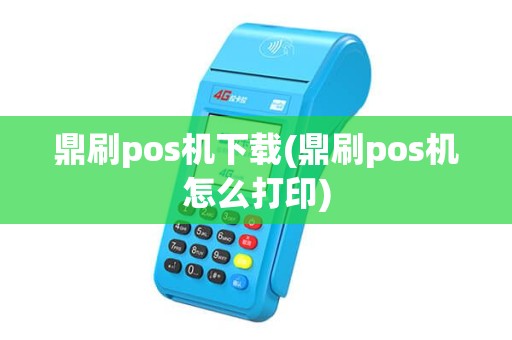 鼎刷pos机下载(鼎刷pos机怎么打印)