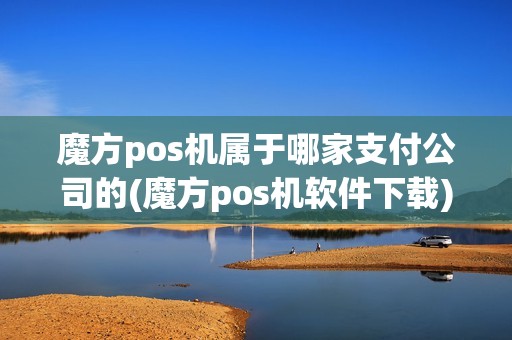 魔方pos机属于哪家支付公司的(魔方pos机软件下载)