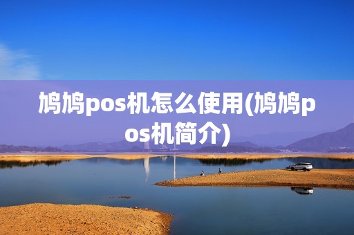 鸠鸠pos机怎么使用(鸠鸠pos机简介)