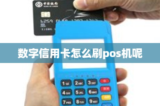 数字信用卡怎么刷pos机呢