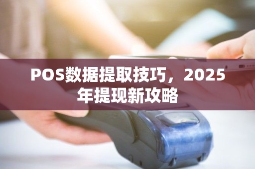 POS数据提取技巧，2025年提现新攻略