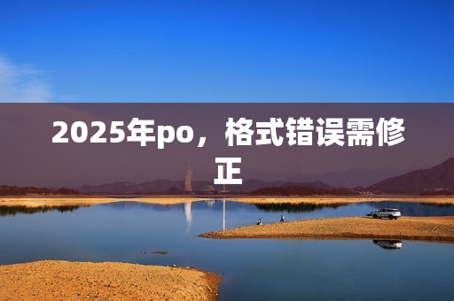 2025年po，格式错误需修正