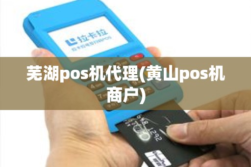 芜湖pos机代理(黄山pos机商户)