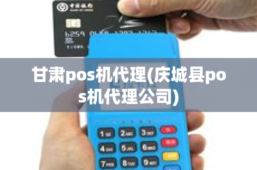 甘肃pos机代理(庆城县pos机代理公司)