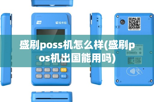 盛刷poss机怎么样(盛刷pos机出国能用吗)