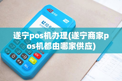 遂宁pos机办理(遂宁商家pos机都由哪家供应)
