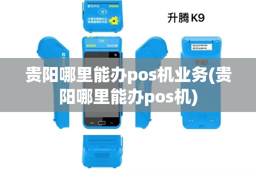 贵阳哪里能办pos机业务(贵阳哪里能办pos机)
