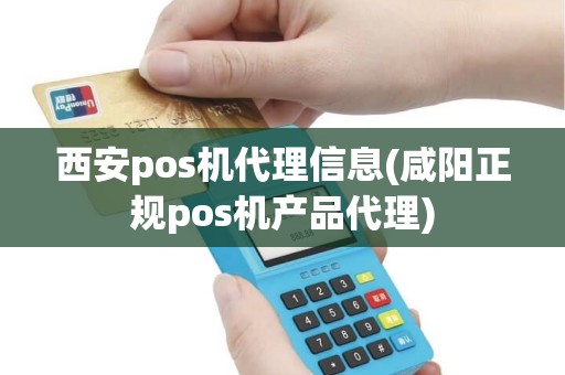 西安pos机代理信息(咸阳正规pos机产品代理)