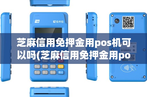 芝麻信用免押金用pos机可以吗(芝麻信用免押金用pos机)