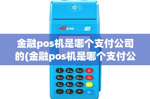 金融pos机是哪个支付公司的(金融pos机是哪个支付公司)