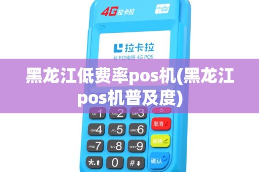 黑龙江低费率pos机(黑龙江pos机普及度)