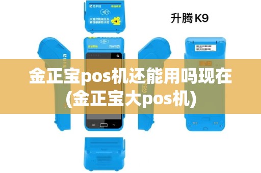 金正宝pos机还能用吗现在(金正宝大pos机)