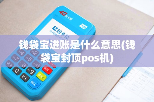 钱袋宝进账是什么意思(钱袋宝封顶pos机) 钱袋宝进账是什么意思(钱袋宝封顶pos机)
