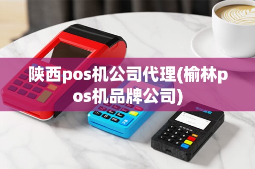 陕西pos机公司代理(榆林pos机品牌公司)