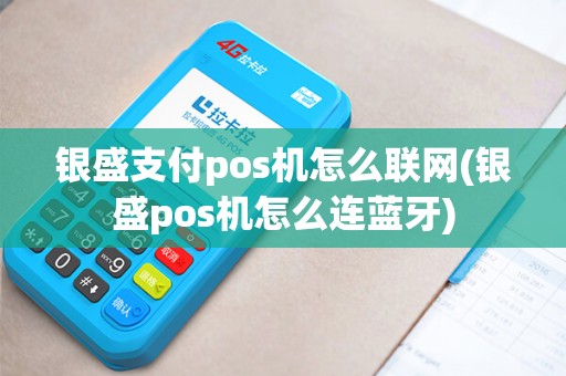 银盛支付pos机怎么联网(银盛pos机怎么连蓝牙)