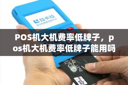 POS机大机费率低牌子，pos机大机费率低牌子能用吗
