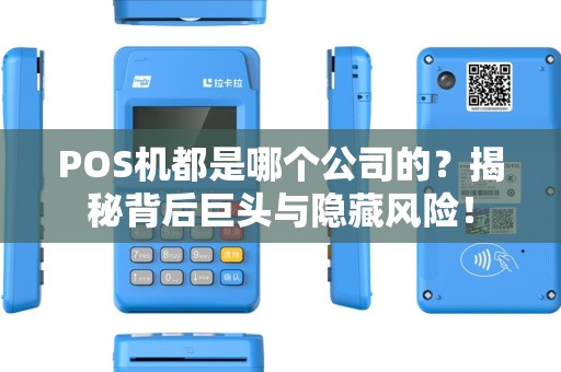 POS机都是哪个公司的？揭秘背后巨头与隐藏风险！