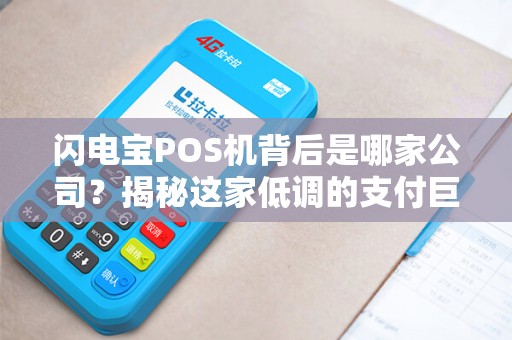 闪电宝POS机背后是哪家公司？揭秘这家低调的支付巨头！