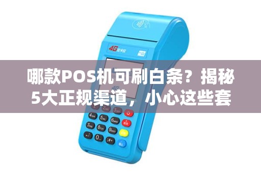 哪款POS机可刷白条？揭秘5大正规渠道，小心这些套路！