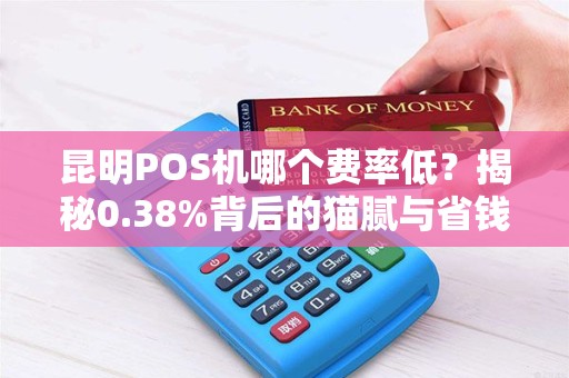 昆明POS机哪个费率低？揭秘0.38%背后的猫腻与省钱攻略！