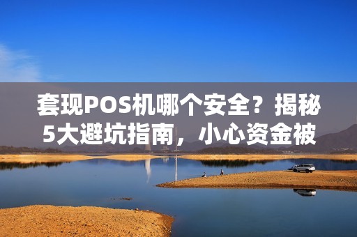 套现POS机哪个安全？揭秘5大避坑指南，小心资金被冻结！