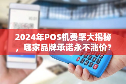 2024年POS机费率大揭秘，哪家品牌承诺永不涨价？小心这些隐藏套路！