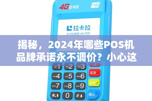 揭秘，2024年哪些POS机品牌承诺永不调价？小心这些隐藏套路！