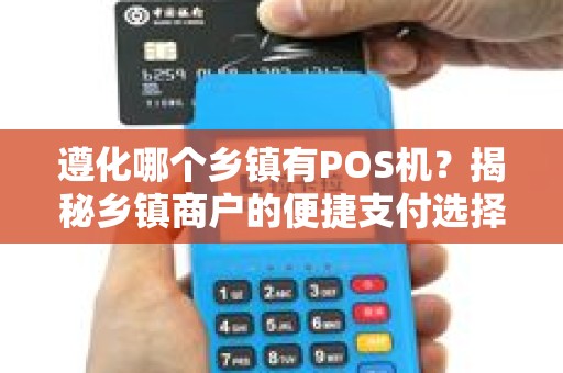 遵化哪个乡镇有POS机？揭秘乡镇商户的便捷支付选择！