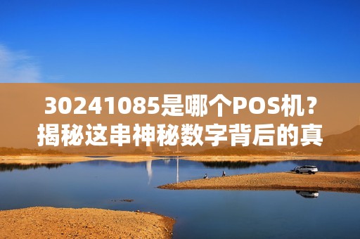 30241085是哪个POS机？揭秘这串神秘数字背后的真相！