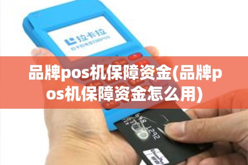 品牌pos机保障资金(品牌pos机保障资金怎么用)
