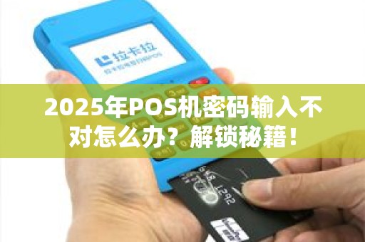 2025年POS机密码输入不对怎么办？解锁秘籍！