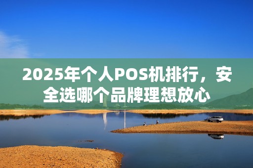 2025年个人POS机排行，安全选哪个品牌理想放心