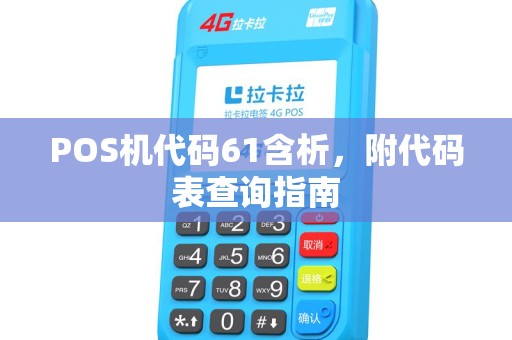 POS机代码61含析，附代码表查询指南