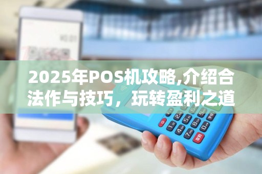 2025年POS机攻略,介绍合法作与技巧，玩转盈利之道